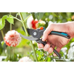 GARDENA Gartenschere B/M -Grün Welt Verkauf 2QdJ2JMq9Ej0owh 1280x1280