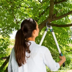 Gardena Astschere EasyCut 680 A -Grün Welt Verkauf 2QyxxomguJqGxgv 1280x1280