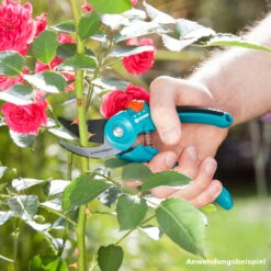 GARDENA Gartenschere B/S-M 10 GARDENA Gartenschere B/S-M -GrĂĽn Welt Verkauf 9kd5YvsE8PQZJmd 1280x1280